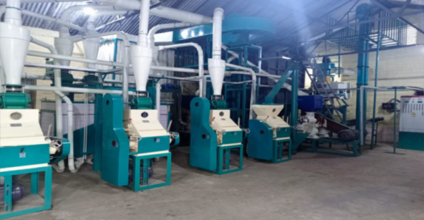 20 TPD Maize Mill Machine