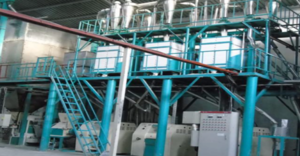 50T Double Face Pneumatic Maize Mill