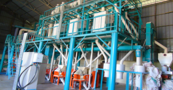 50T Maize Milling Machine