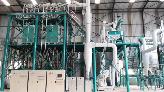 150TPD MAIZE MILL - Image 3