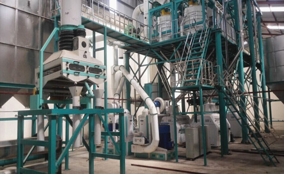 150TPD MAIZE MILL - Image 2